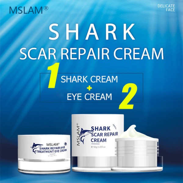 Shark Scar Repair Sets..