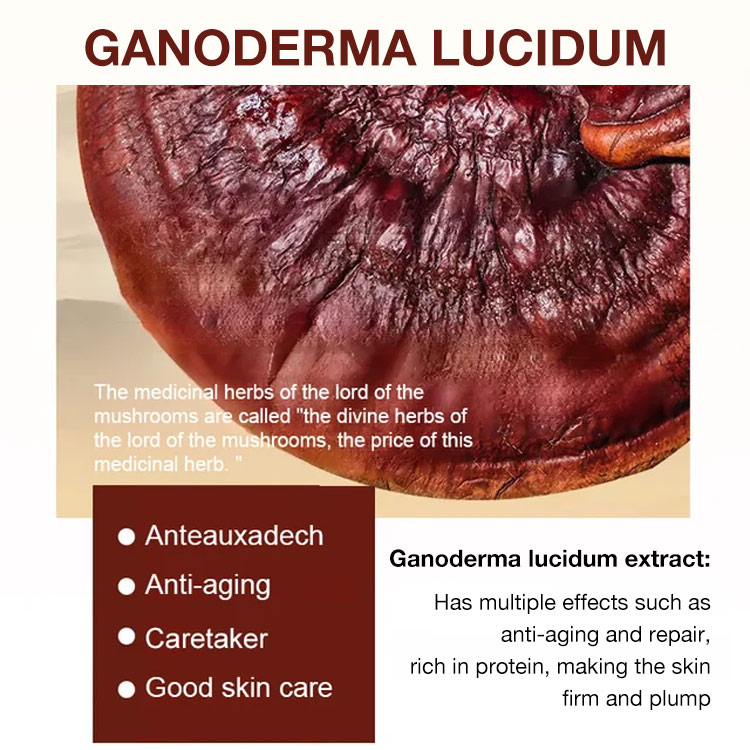 Halloween Sale Free Shipping - Ganoderma lucidum Anti-wrinkle Rejuvenating Serum - Fade fine lines/Deeply repair/Moisturizing & Firming skin - 28-Day Effective Wrinkle Reduction